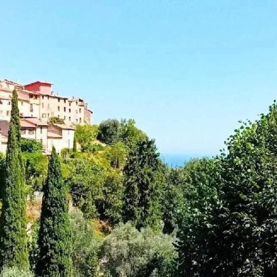 Annonces MENTON : Immeuble | GORBIO (06500) | 275.00m2 | 928 000 € 